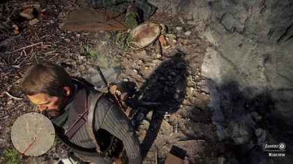 Red Dead Redemption 2 PL - PRO #