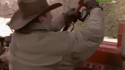 Czynnik. PSI. S01E20.pl. avi