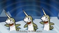Narwhals