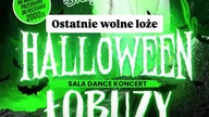 Halloweenowy relacja na Instagramie w klubie Energy 2000 Katowice (02/03. 11. 2024)