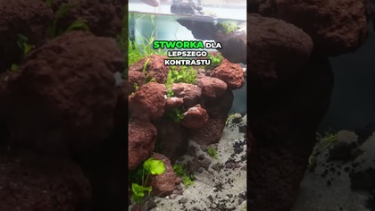 Teraz się będzie bardziej podobać dzieciakom! 