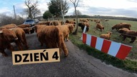Vlog z farmy.  Budowa poskromu cz. 4