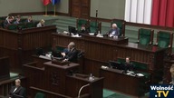  Grzegorz Braun: Dewastacja pejzażu przez niemieckie wiatraki do mielenia ptaków!