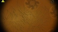 Mroczne niebo / Dark Skies S01E11 [Lektor PL]