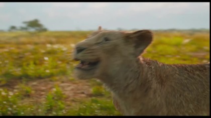 Wszelkie prawa należą do Walt Disney Pictures.

#mufasakróllew #mufasalionking #krollew #króllew #lionking #film #bajka #disney #mufasa #simba #rafiki #sarabi #zazu #skaza #taka #nala #kiara