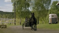 Naoczny świadek [s01e02] pl