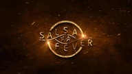 Salsa Fever Online - Body Movement i Salsa New York Style on2 Solo w Twoim Domu - Zajęcia nr.  1