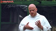 Kundel przydrozny S01E22 Ten z wroblami