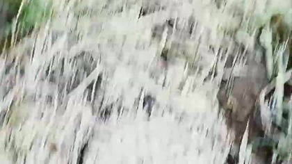 Zmrożony las i świat nawet na Północy - leśny Spacer po Roratach! Rubik - fan mrozu i tarzania!