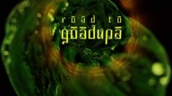 Psytrance w Krakowie: Relacja z imprezy Road to Goadupa Festival 2016