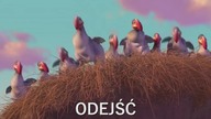 Ptaszki ćwierkają, że ...  PiS jest w dupie