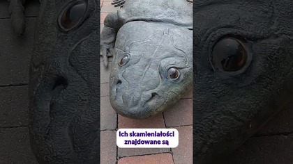 Ten płaz miał problemy z kręgosłupem! #paleontologia