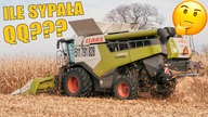 ILE SYPNĘŁA QQ? Podsumowanie plonów kukurydzy 2021 [Matheo780]