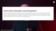 Wieś na celowniku.  Zgłosiłem dywersję  zobacz, na co uważać! (1080p 60fps H264-128kbit AAC)