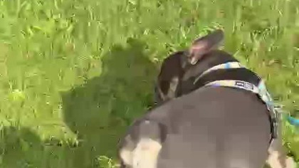 Bawisz się ?, czy nie!?