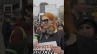 Orientacje dzików #pytapl