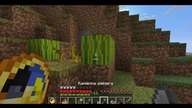 Three watermelons #game #minecraft #gaming #games #Short #Shorts #ASMR