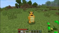 Minecraft Mody Pokemobs