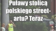 Puławy stolicą polskiego street-artu? Teraz wezmą się za skatepark