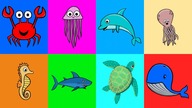Underwater animals sounds and names for kids | CzyWieszJak