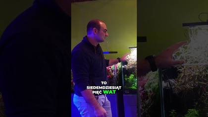 Najładniejszy salon akwarystyczny na Śląsku ? #akwarium #akwarystyka