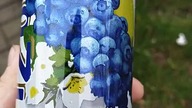 AriZona Blueberry White Tea | Do rzyci recenzja