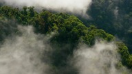 Planeta Ziemia S02E03 ENG