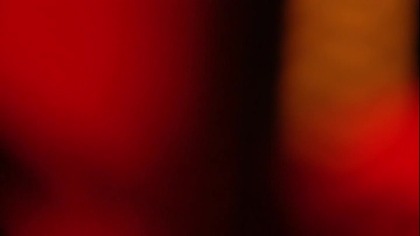 *RAMMSTEIN IN PARIS.