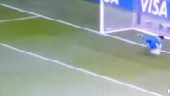 Krychowiak 