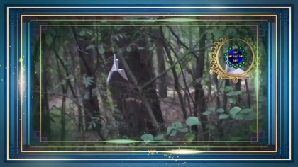 JuTubki.  (Muzyczny). ^ LiX-LiX.  Sztuka.