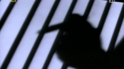 09.  Gliniarz i prokurator. S05E09.pl. PDTV. XviD. RedCoders