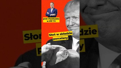 Słoń w składzie porcelany! - prof.  Tomasz Pawłuszko #Trump #USA #Grenlandia #Europa #polityka