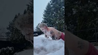 Musiałem się schłodzić bo ZP za gorące