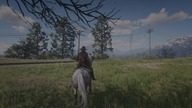 RDR2.  Cywilizowane społeczeństwo w stylu Valentine.  GeForce RTX3090 Trinity.  Intel Core i9-10900K