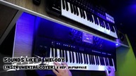 ALPHAVILLE - Sounds Like A Melody (Instrumental Cover) @Alphaville Fans