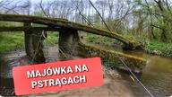 Majówka na pstrągach // 2021