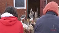 NIEWIARYGODNE Jeszcze niedawno byli BEZDOMNI PIERWSZE ŚWIĘTA w DOMU! mp4 686x432