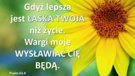 Audycja Wyzwolony Stephen Tice