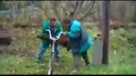 Dwaj żule i kawałek drzewa