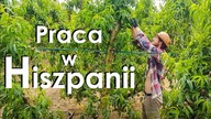 Praca za granicą - czy to się opłaca ?