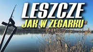 536 LESZCZE MAJĄ SWOJE GODZINY! WROCŁAWSKA ODRA I MAKARON!