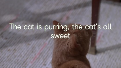 Isle of Music x RhytmReel - The Cat Just Knows | Official Lyric Video  Deep House 2025