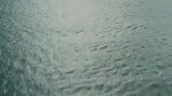 Niewidzialny Cały Film 2005