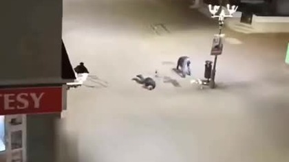 Kaśka Ambroziak Brutalny atak w Wołowie  obywatel Ukrainy skatował dwóch Polaków