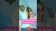 Praktyczne Roślinne Porady | Przesadzanie, Cięcie Korzeni Storczyka