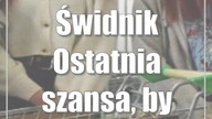 Świdnik: Ostatnia szansa, by dołączyć do akcji