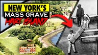 New Yorks Abandoned Island Cemetery for the Homeless | Hart Island