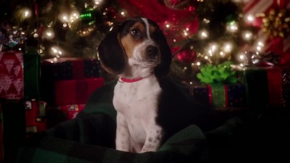 Pewnego razu w czasie Wigilii (2014) [Lektor PL] - One Christmas Eve