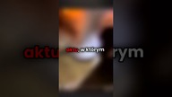 NASTOLATKOWIE UGOTOWALI ŻYWCEM PTAKA POD OCHRONĄ! #shorts