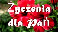 Życzenia dla Pań na Dzień Kobiet